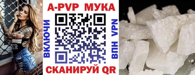 OMG сайт  мориарти официальный сайт  A PVP мука  Усинск 