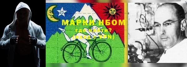 прущие грибы Аркадак