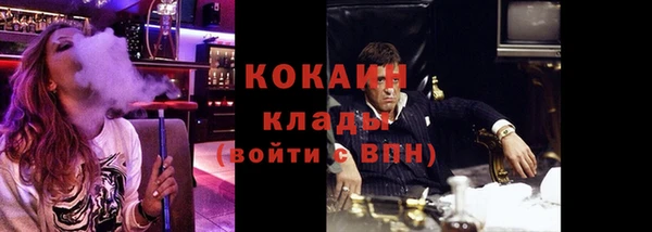 прущие грибы Аркадак