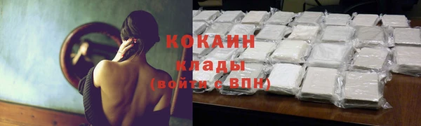 гашик Алзамай
